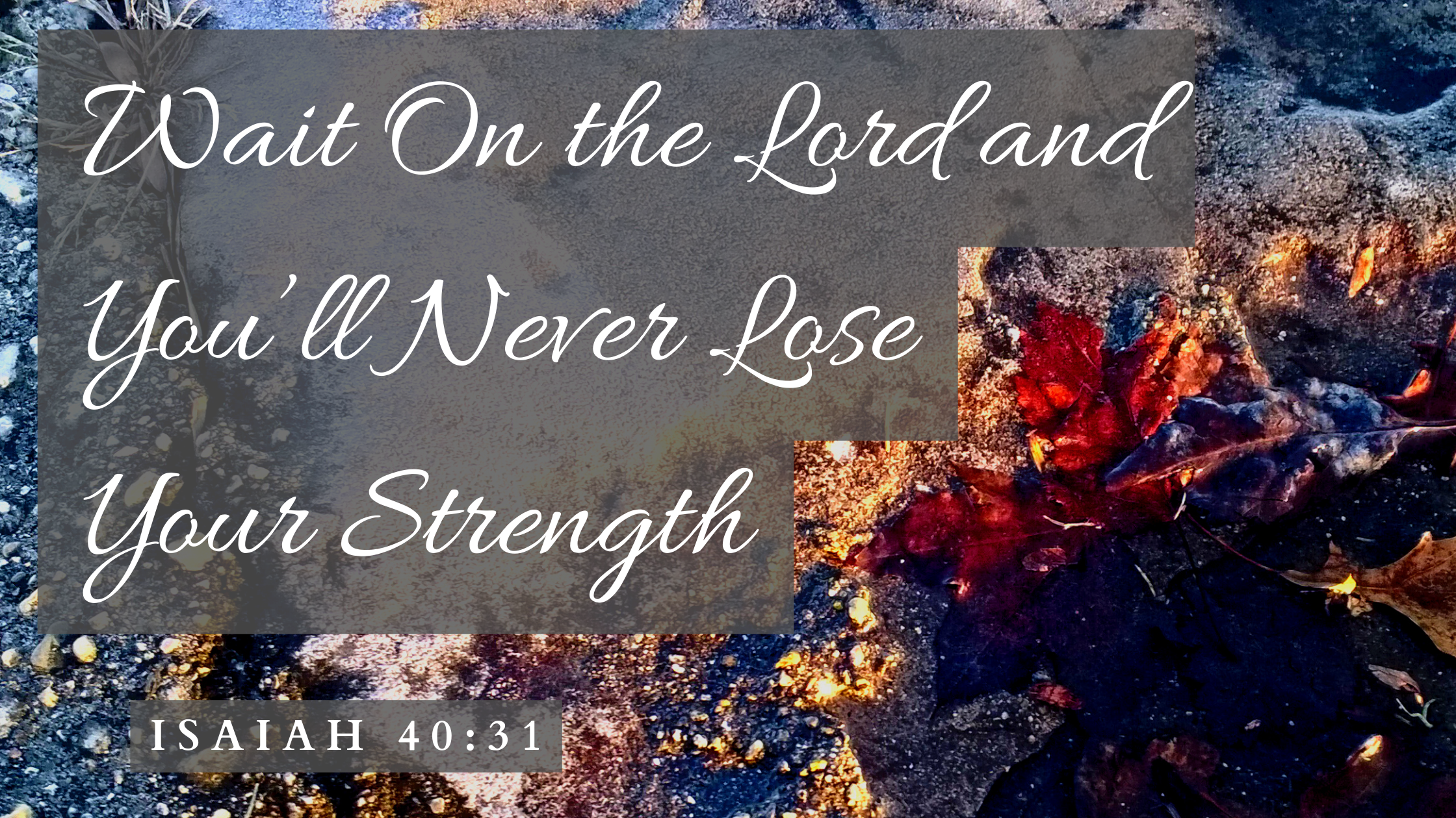 Wait on the Lord
